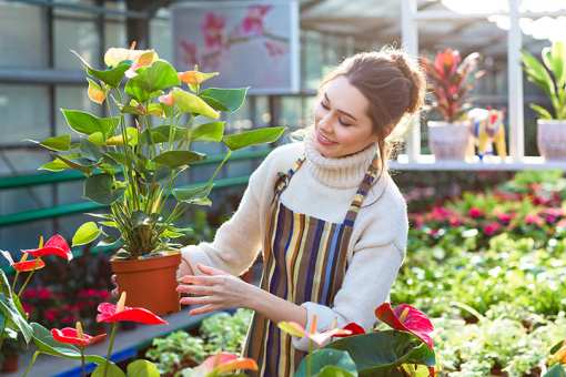 9 Best Garden Centers and Nurseries in Montana!